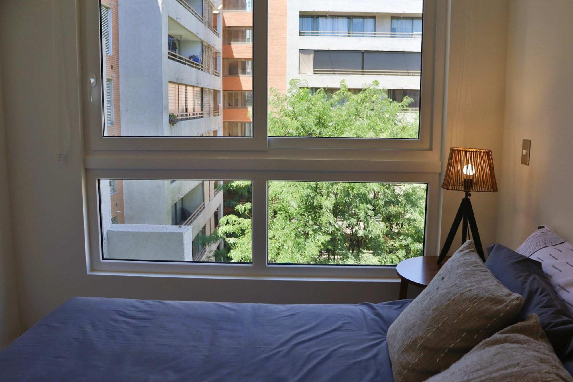Hom I Luminoso Y Acogedor Depto 1d1b En Santiago